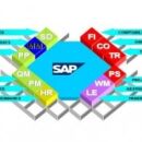 Formation Pratique SAP ERP