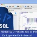 Formation Base de donnée SQL Certifiante