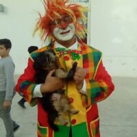 CLOWN ANNIVERSAIRES TUNIS HAMMAMET 