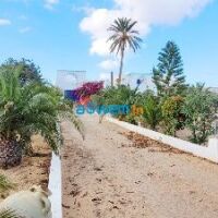 GRANDE PROPRIÉTÉ À VENDRE À DJERBA ARKOU ZA - RÉF V668